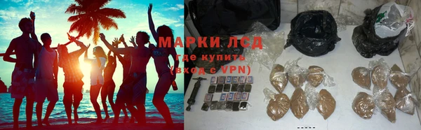 сатива Белоозёрский