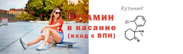 сатива Белоозёрский