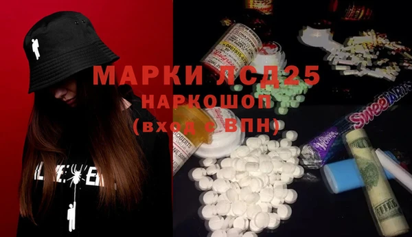 PSILOCYBIN Богданович