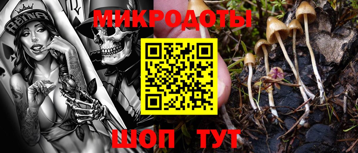Галлюциногенные грибы Cubensis Богданович