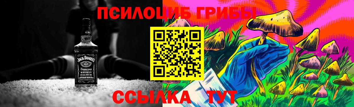 Галлюциногенные грибы Psilocybe  Галлюциногенные грибы MAGIC MUSHROOMS  Вход с VPN  Богданович 